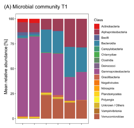 Figure 3 : Groupes bactériens identifiés dans l’intestin (« gut »), le mucus cutané (« skin mucus») et l’eau d’élevage (« seawater ») aux temps T1 (A) et T2 (B).
